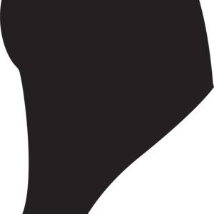 Vsepropejska Shih-tzu 2 dřevěná dekorace na zeď Rozměr (cm): 38 x 21