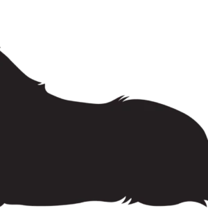 Vsepropejska Zlatý retrívr 3 dřevěná dekorace na zeď Rozměr (cm): 15 x 38