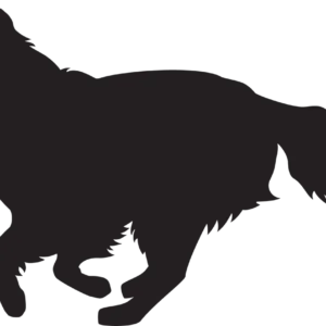 Vsepropejska Zlatý retrívr 3 dřevěná dekorace na zeď Rozměr (cm): 22 x 38