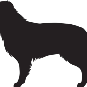 Vsepropejska Zlatý retrívr 3 dřevěná dekorace na zeď Rozměr (cm): 27 x 38