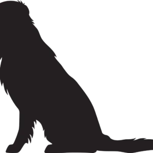 Vsepropejska Zlatý retrívr 3 dřevěná dekorace na zeď Rozměr (cm): 29 x 38