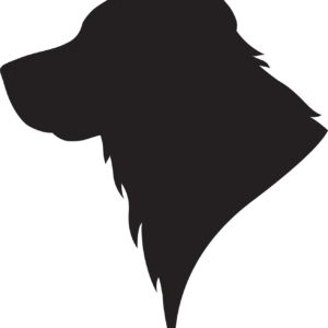 Vsepropejska Zlatý retrívr 3 dřevěná dekorace na zeď Rozměr (cm): 38 x 33