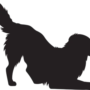 Vsepropejska Zlatý retrívr 3 dřevěná dekorace na zeď Rozměr (cm): 30 x 38