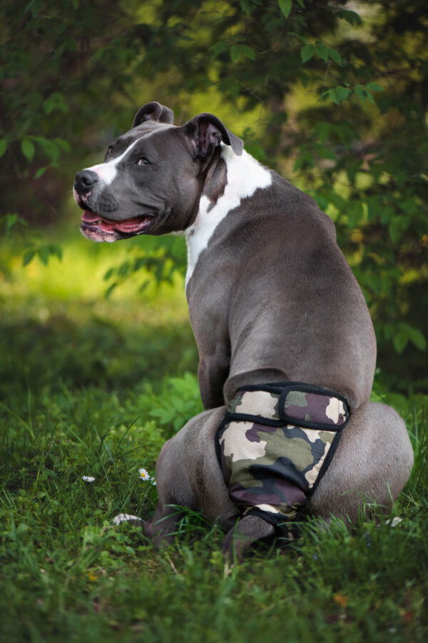 Vsepropejska Fixed maskáčové hárací kalhotky pro psa Obvod slabin (cm): 55 - 65