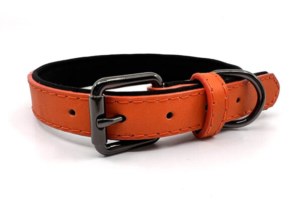Vsepropejska Pasco kožený obojek pro psa | 24 - 43 cm Barva: Oranžová