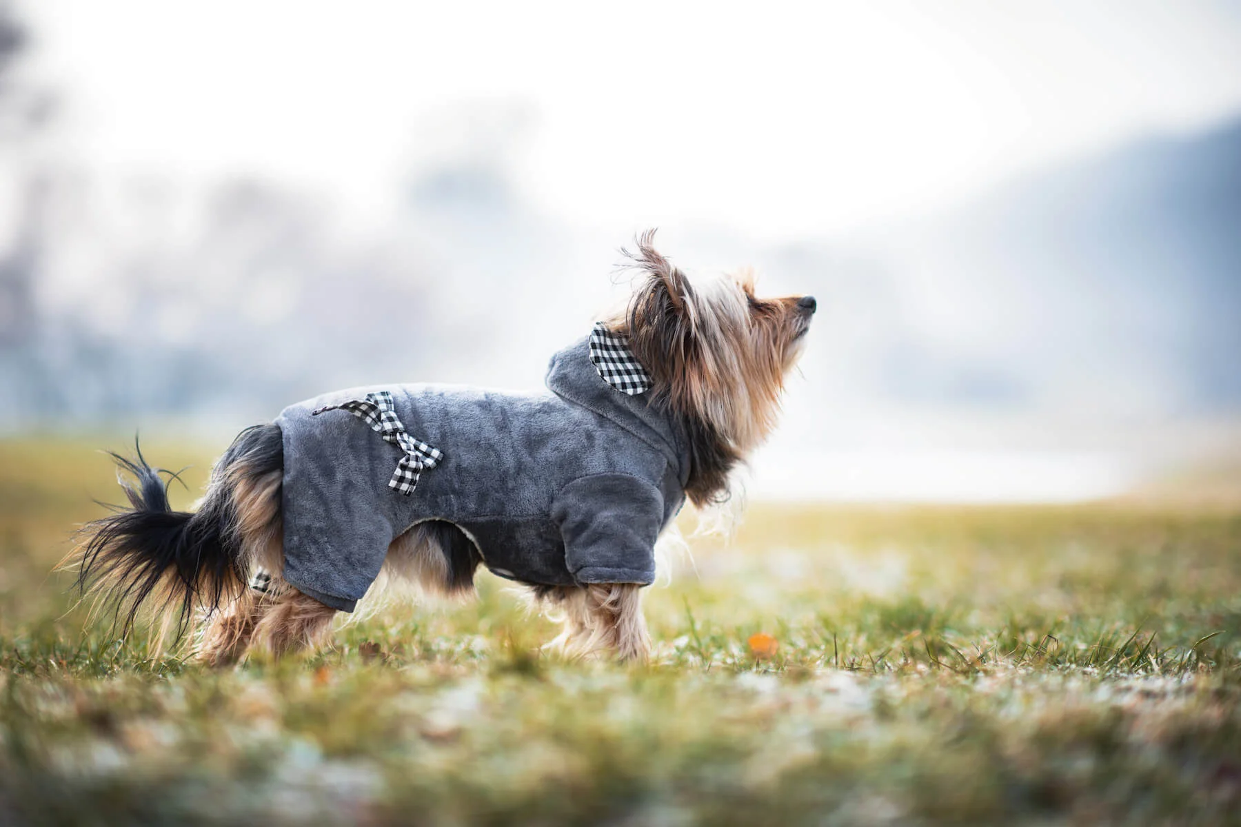 Vsepropejska Percy teplá kombinéza pro psa Barva: Šedá