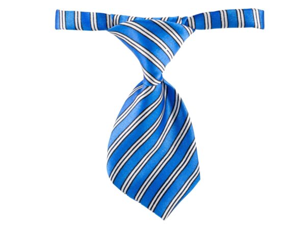 Vsepropejska Rex modrá kravata pro psa