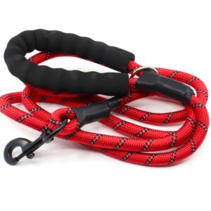 Azar nylonové vodítko pro psa | 300 cm Barva: Červená