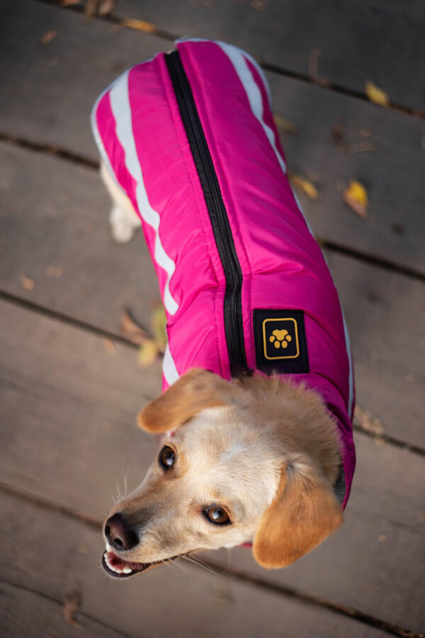 Vsepropejska Faraon bunda pro psa na ZIP Barva: Růžová