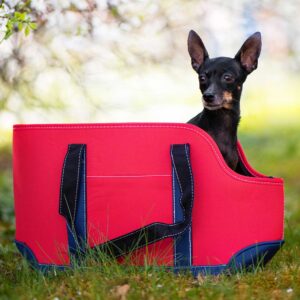 Vsepropejska Geri cestovní taška pro psa Barva: Červená