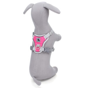 Vsepropejska Ricota sportovní kšíry pro psa | 36 – 73 cm Barva: Růžová