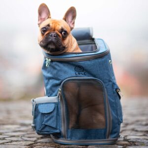Alley šedý batoh pro psa do 10 kg Barva: Modrá