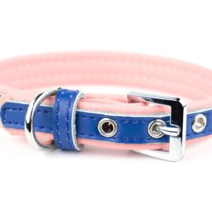 Vsepropejska Rose obojek pro psa | 22 - 34 cm Barva: Modro-růžová
