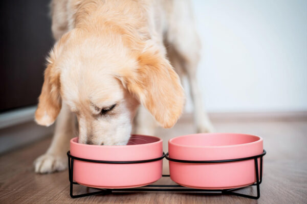 Vsepropejska Doris dvojitá keramická miska pro psa či kočku Barva: Růžová