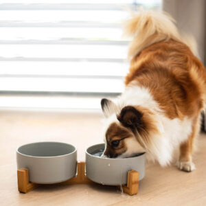 Vsepropejska Tella dvojitá keramická miska pro psa či kočku Barva: Tmavě šedá
