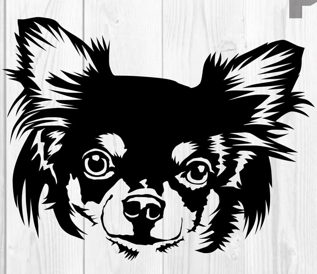 Čivava 11 dřevěná dekorace na zeď Rozměr (cm): 38 x 36 - Obrázek 2