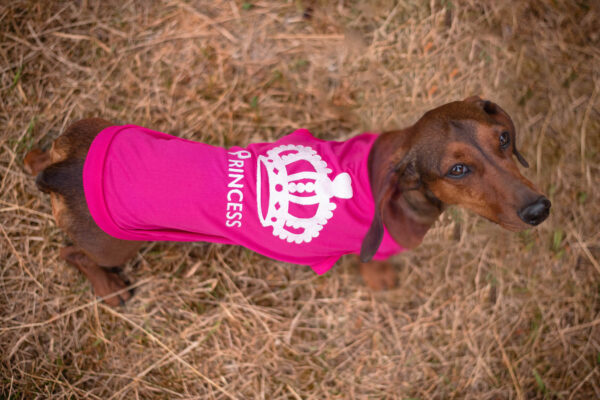 Vsepropejska Flou letní tričko pro psa Barva: Růžová
