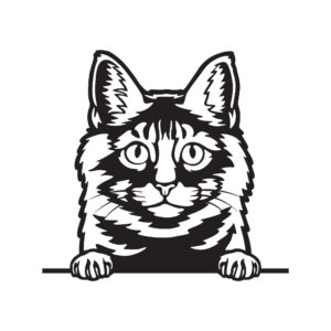 Vsepropejska Kurilský bobtail kočka dřevěná dekorace na zeď Rozměr (cm): 38 x 35