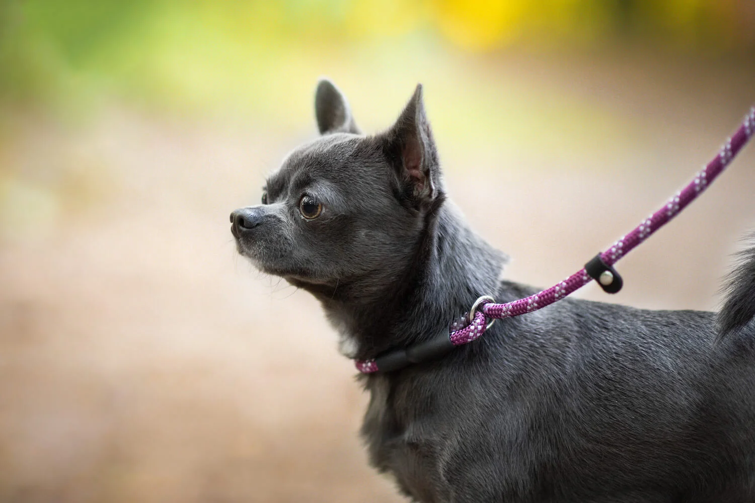 Délka vodítka: 300 cm