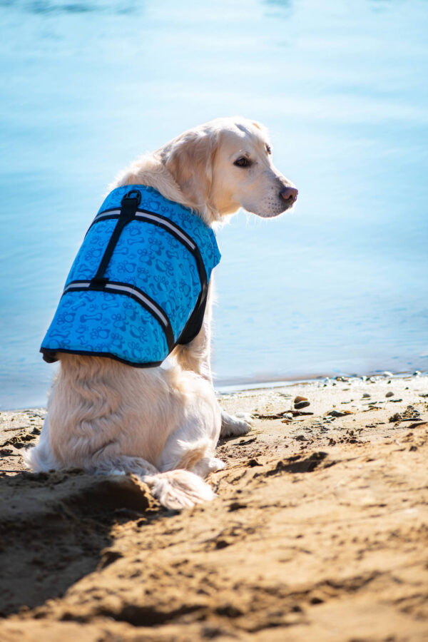 Vsepropejska Orsa plovací vesta pro psa Barva: Modrá