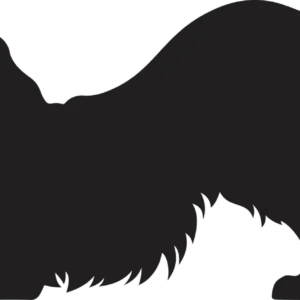 Vsepropejska Anglický špringeršpaněl dřevěná dekorace na zeď Rozměr (cm): 16 x 38