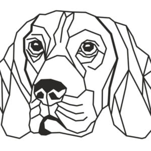 Vsepropejska Bígl 5 dřevěná dekorace na zeď Rozměr (cm): 38 x 22