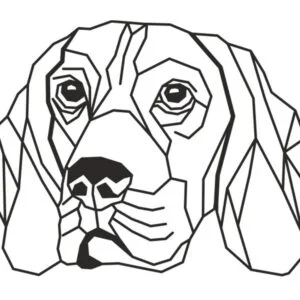 Vsepropejska Bígl 5 dřevěná dekorace na zeď Rozměr (cm): 38 x 22