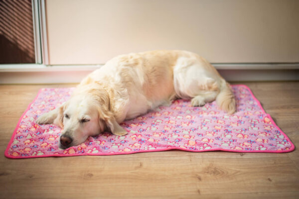 Vsepropejska Blonda hebká deka pro psa Barva: Růžová