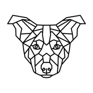 Vsepropejska Border kolie 2 dřevěná dekorace na zeď Rozměr (cm): 38 x 30