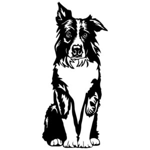 Vsepropejska Border kolie 9 dřevěná dekorace na zeď Rozměr (cm): 38 x 19