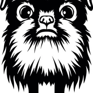 Vsepropejska Bruselský grifonek dřevěná dekorace na zeď Rozměr (cm): 38 x 21