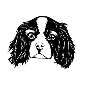 Vsepropejska Kavalír King dřevěná dekorace na zeď Rozměr (cm): 38 x 30