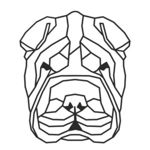 Vsepropejska Šarpej 2 dřevěná dekorace na zeď Rozměr (cm): 38 x 21