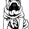Typ: Šarpej 2