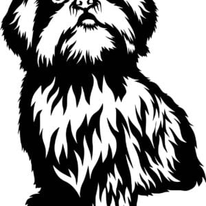 Vsepropejska Shih - tzu dřevěná dekorace na zeď Rozměr (cm): 38 x 25