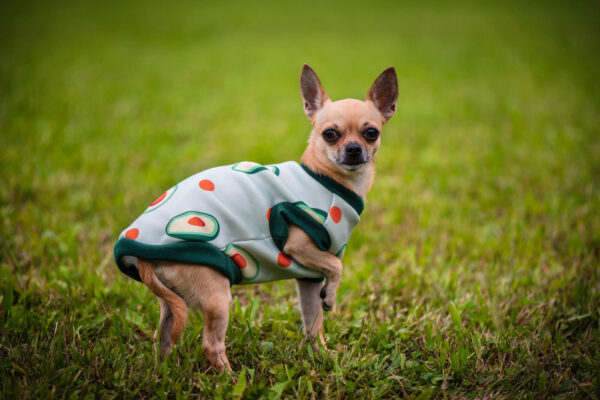 Vsepropejska Wabi mikina s avokádem pro psa Barva: Zelená