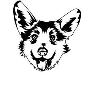 Vsepropejska Welsh Corgi Pembroke dřevěná dekorace na zeď Rozměr (cm): 38 x 33