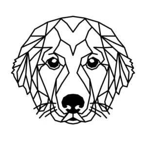 Vsepropejska Zlatý retrívr 2 dřevěná dekorace na zeď Rozměr (cm): 38 x 33