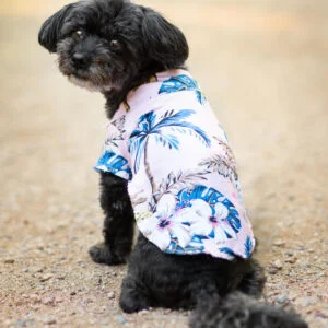 Vsepropejska Zyra plážová košile pro psa Barva: Růžová