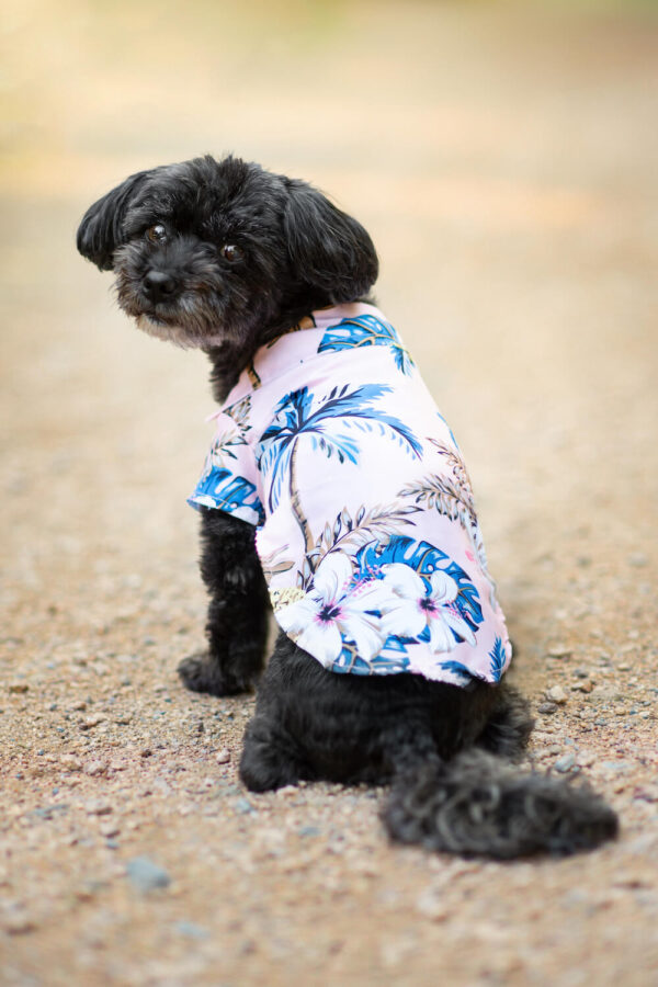 Vsepropejska Zyra plážová košile pro psa Barva: Růžová