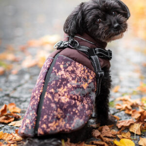Vsepropejska Adon zimní bunda pro psa s postrojem Barva: Hnědá