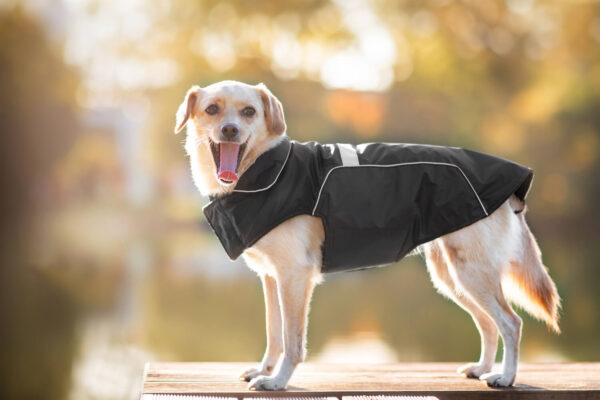 Vsepropejska Arif zimní bunda pro psa Barva: Černá
