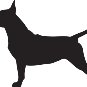 Vsepropejska Bulteriér 5 dřevěná dekorace na zeď Rozměr (cm): 29 x 38