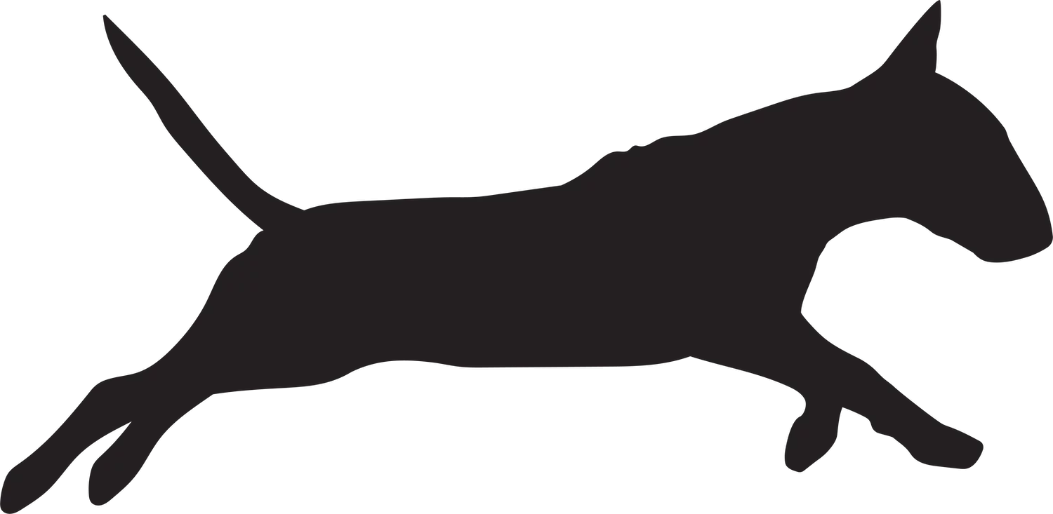 Vsepropejska Bulteriér 5 dřevěná dekorace na zeď Rozměr (cm): 38 x 18