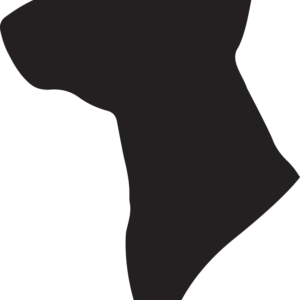 Vsepropejska Bulteriér 5 dřevěná dekorace na zeď Rozměr (cm): 38 x 27