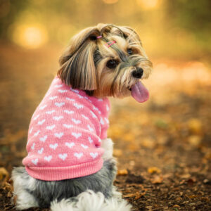 Vsepropejska Heart svetr pro psa se srdíčky Barva: Růžová