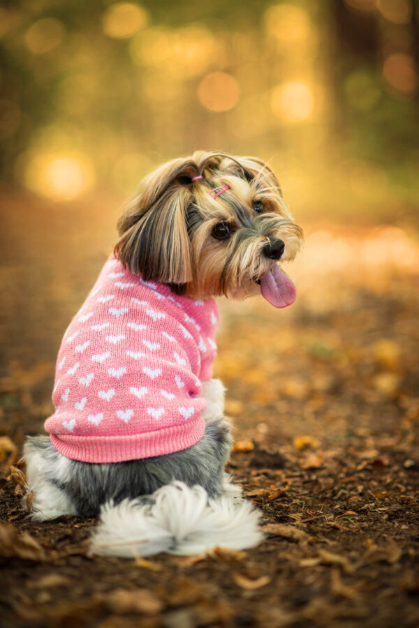 Vsepropejska Heart svetr pro psa se srdíčky Barva: Růžová