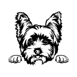 Vsepropejska Jorkšírský teriér 11 dřevěná dekorace na zeď Rozměr (cm): 38 x 35