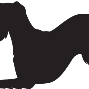 Vsepropejska Knírač 2 dřevěná dekorace na zeď Rozměr (cm): 25 x 38