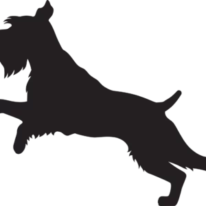 Vsepropejska Knírač 2 dřevěná dekorace na zeď Rozměr (cm): 28 x 38